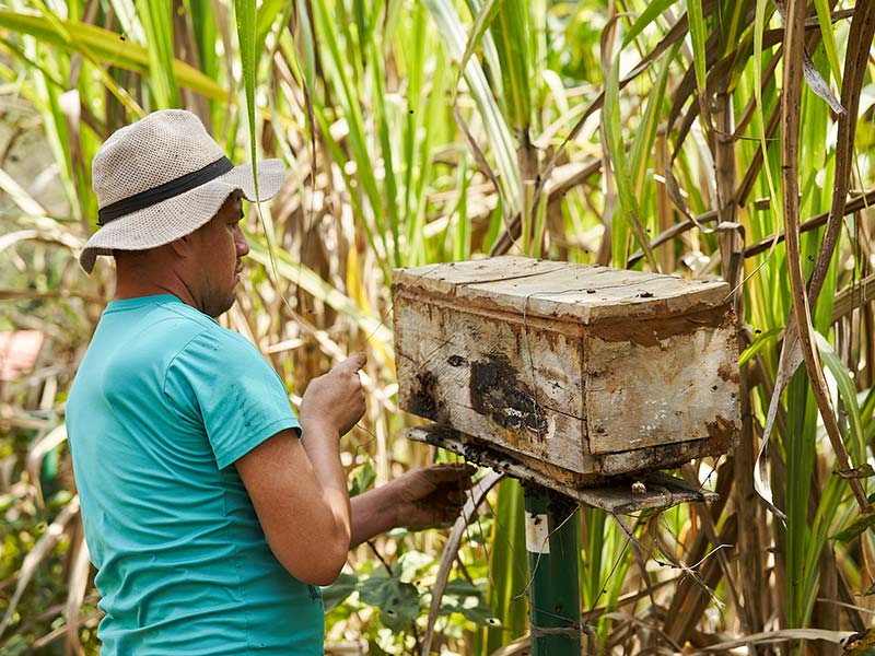 Investigación científica