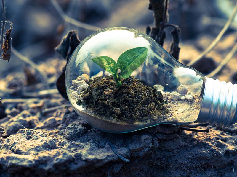 Índice de Sostenibilidad Económica, Social y Ambiental de la Producción Meliponícola en el Sur de Ecuador 