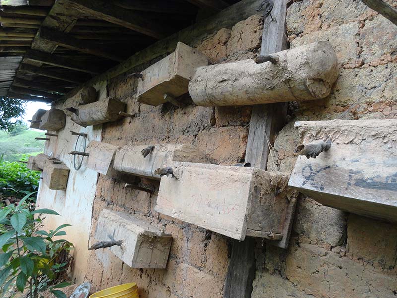 Informe de Mejoramiento de Infraestructura Productiva de las Abejas