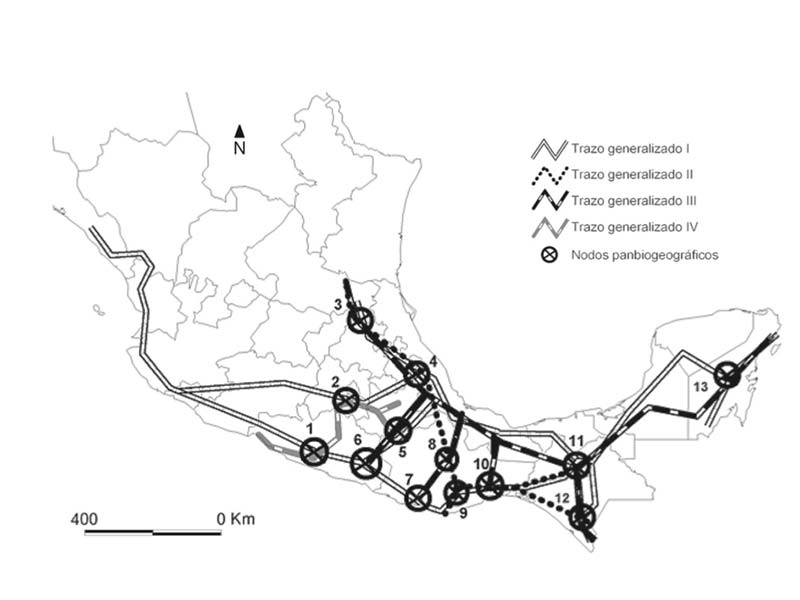 Patrones de Distribución de las Especies de la Tribu Meliponini (Hymenoptera: Apoidea: Apidae) en México